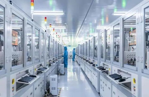 厲害了 惠州制造 閃耀巴黎奧運(yùn)會